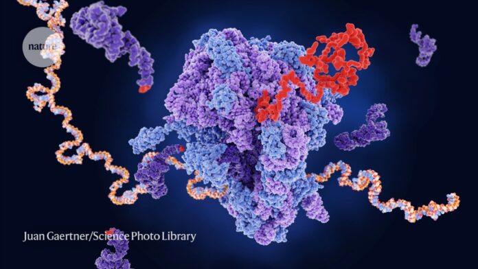 How scientists are hacking the genetic code to give proteins new powers