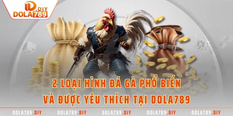 2 loại hình đá gà phổ biến và được yêu thích tại DOLA789