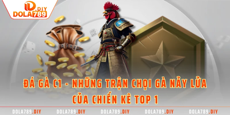 Đá Gà C1 - Những Trận Chọi Gà Nảy Lửa Của Chiến Kê Top 1